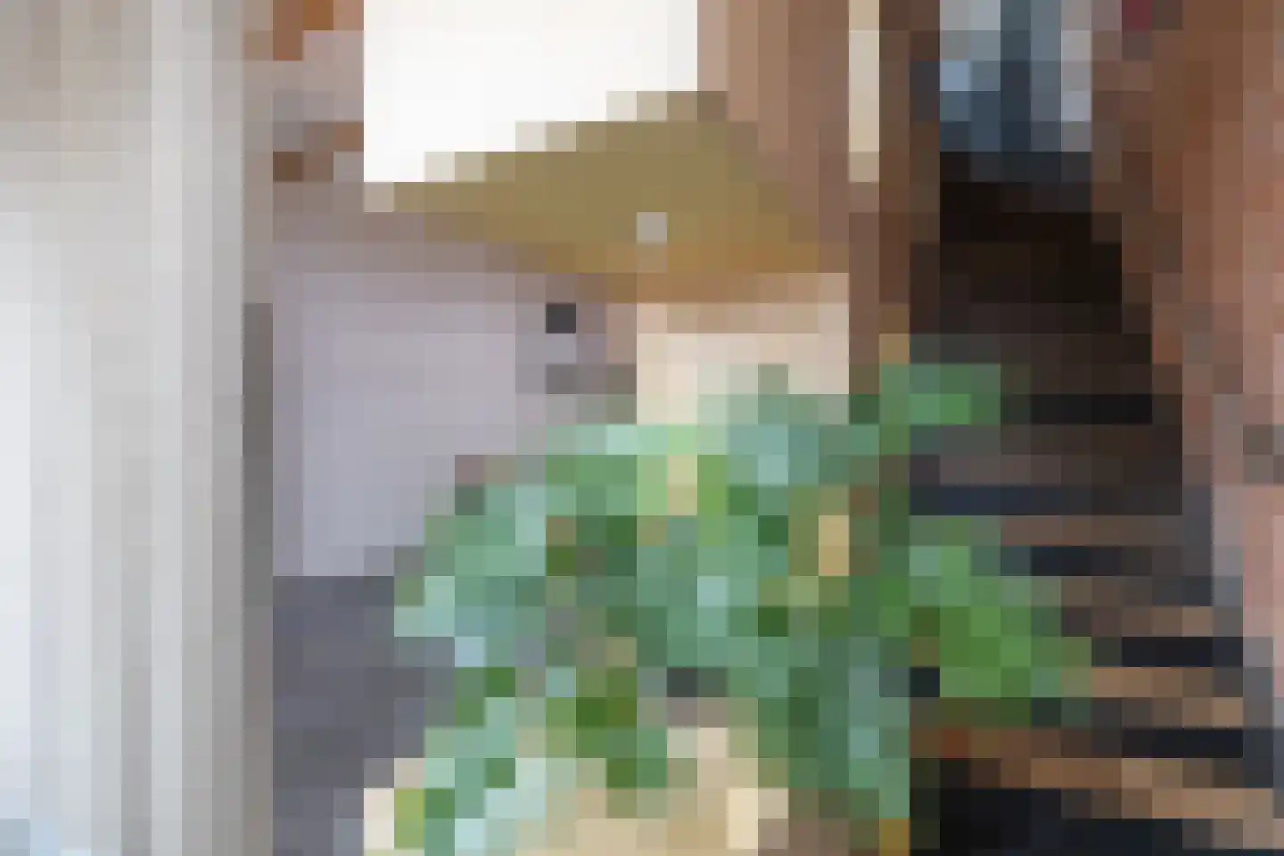 Zijdam 6 Alkmaar thumbnail 61