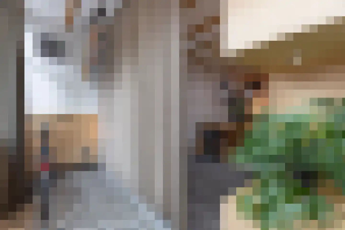 Zijdam 6 Alkmaar thumbnail 62