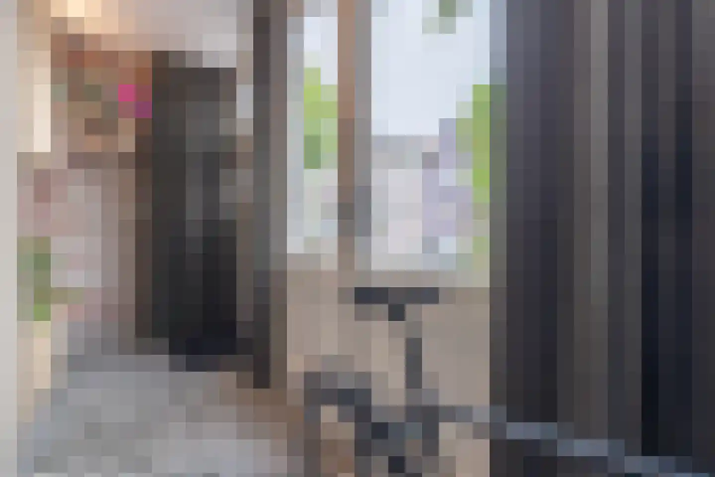 Zijdam 6 Alkmaar thumbnail 63