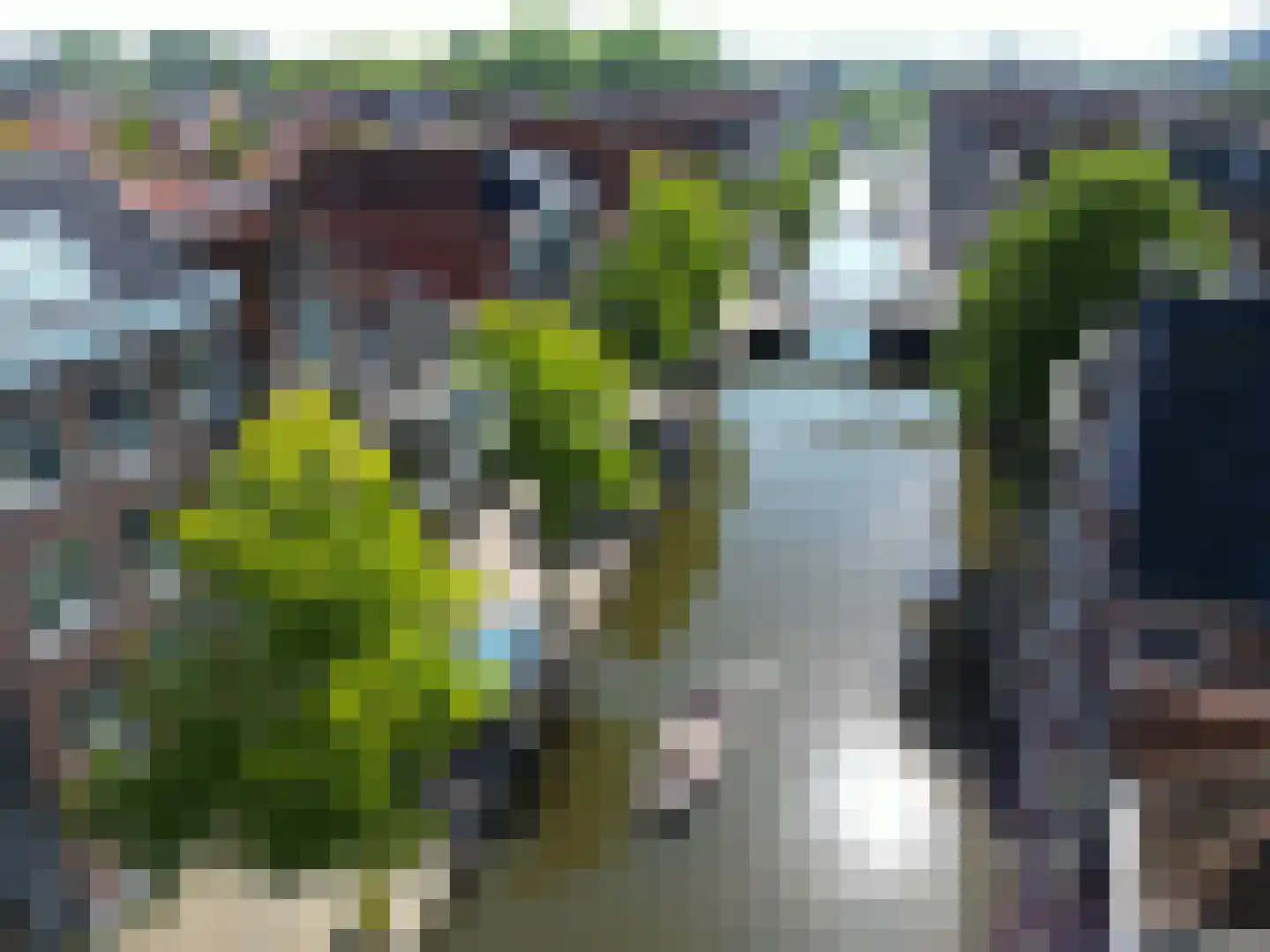 Zijdam 6 Alkmaar thumbnail 74