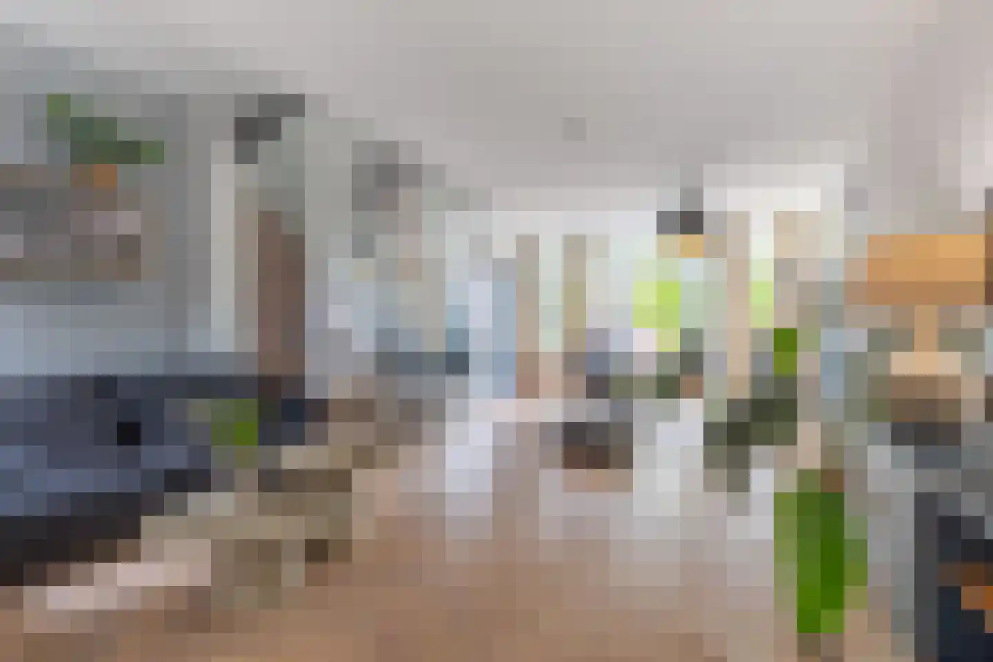 Zijdam 6 Alkmaar thumbnail 8