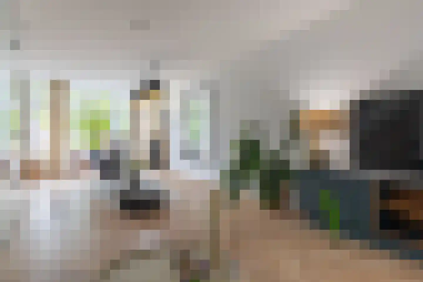 Zijdam 6 Alkmaar thumbnail 9