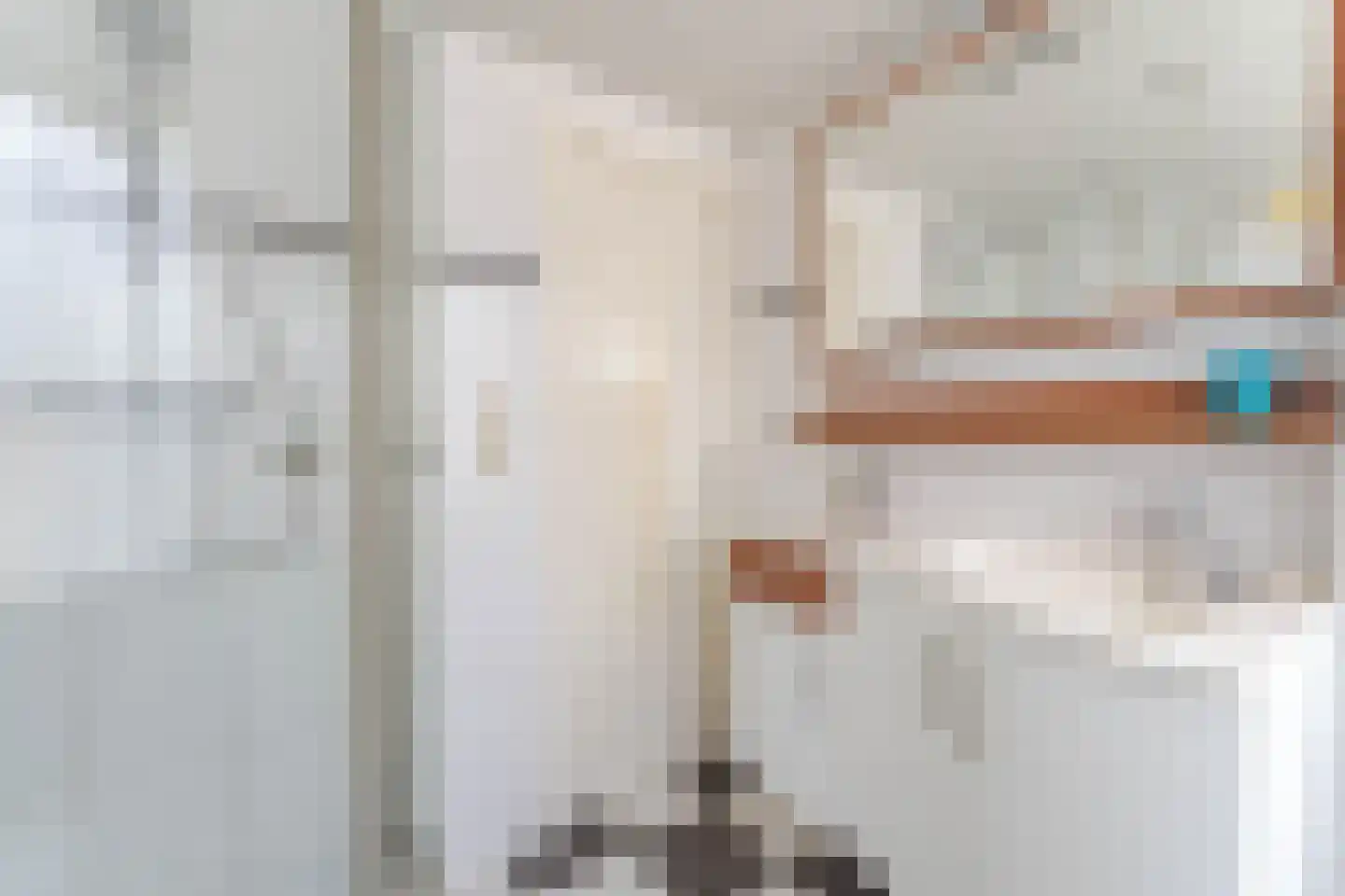 Zijde 118 Boskoop thumbnail 16