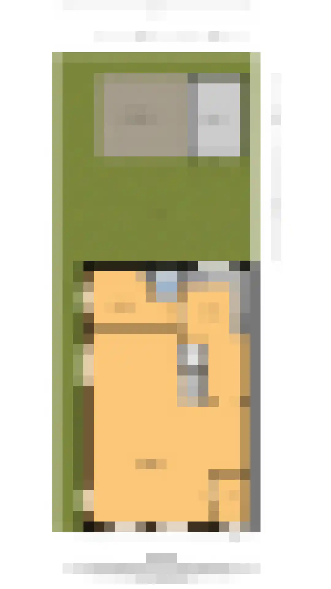 Zijde 118 Boskoop thumbnail 23