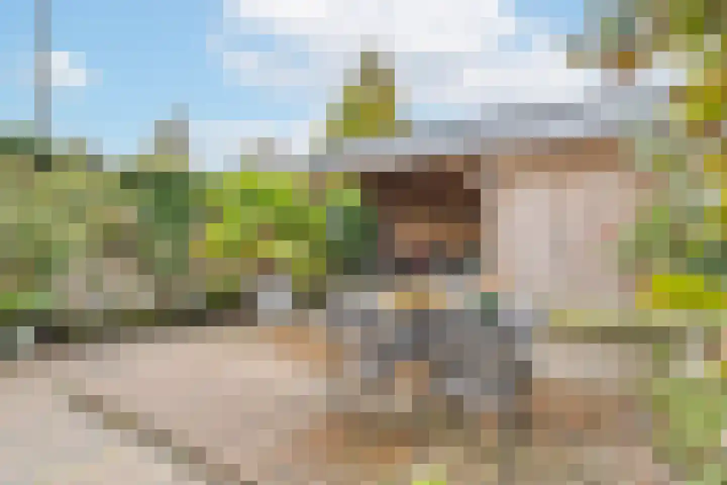Zijde 118 Boskoop thumbnail 4