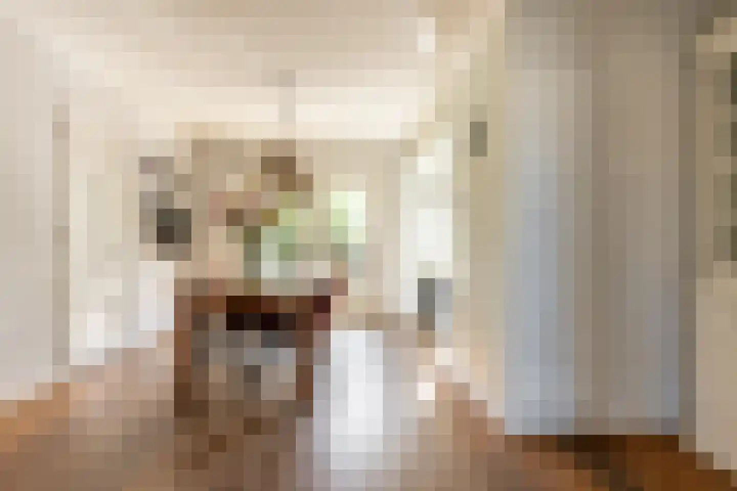 Zijde 132 Boskoop thumbnail 14