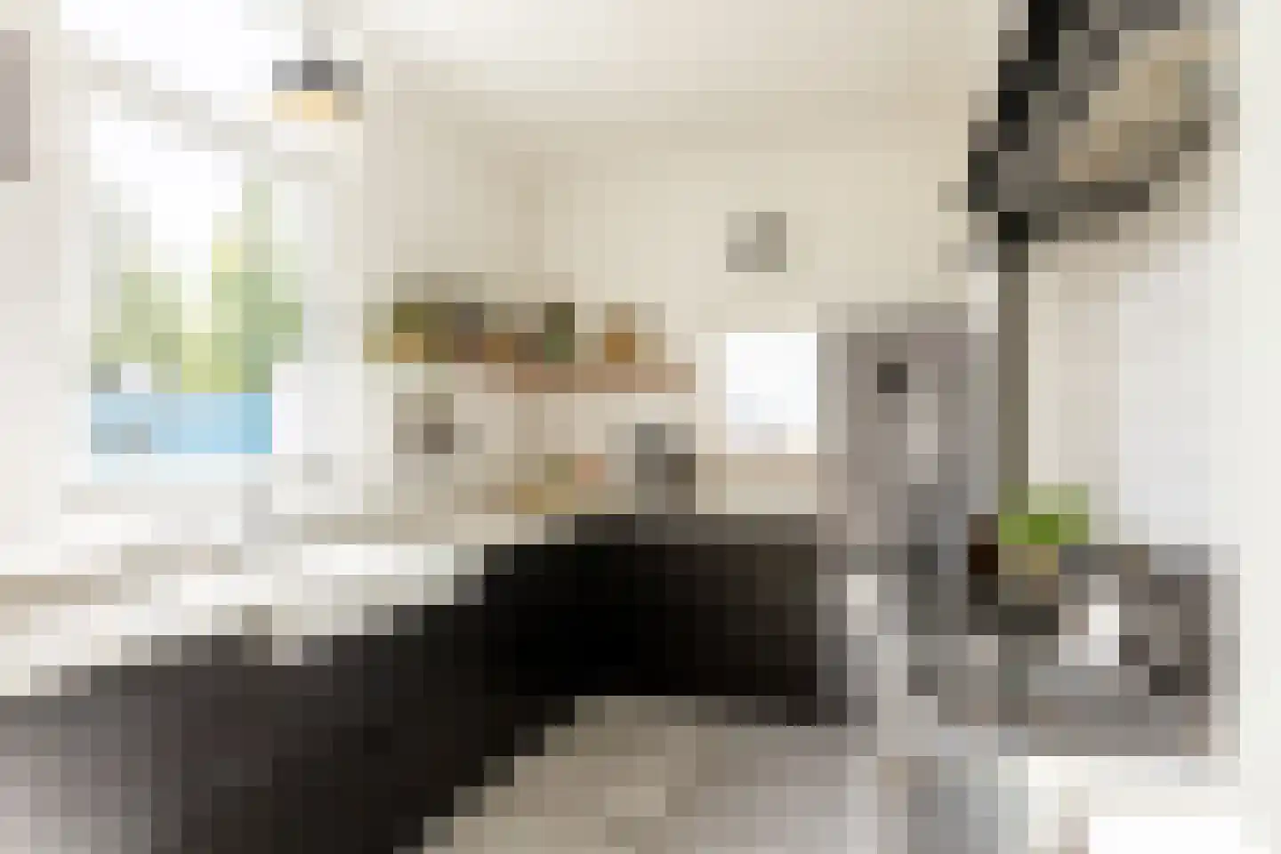 Zijde 132 Boskoop thumbnail 19
