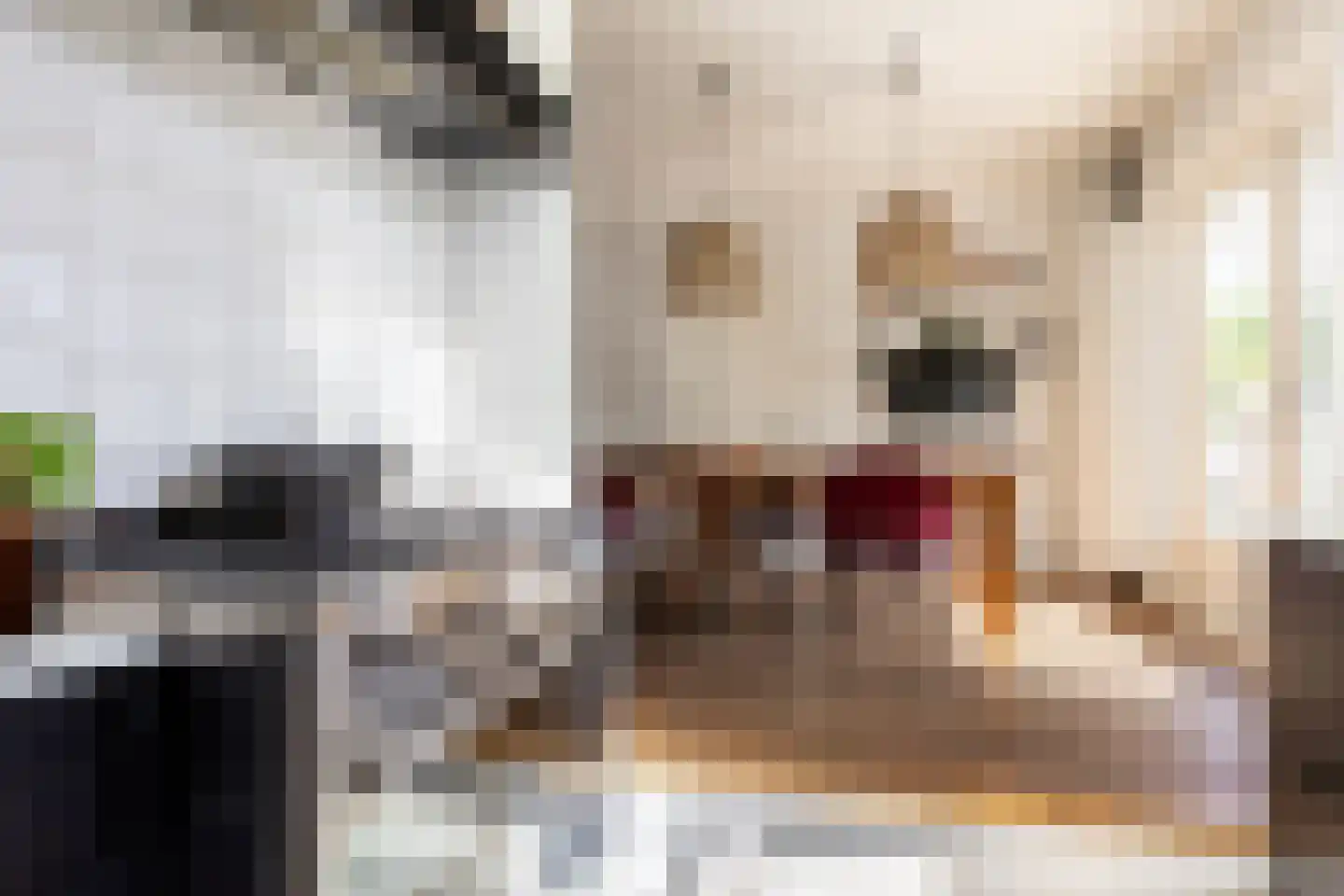 Zijde 132 Boskoop thumbnail 20
