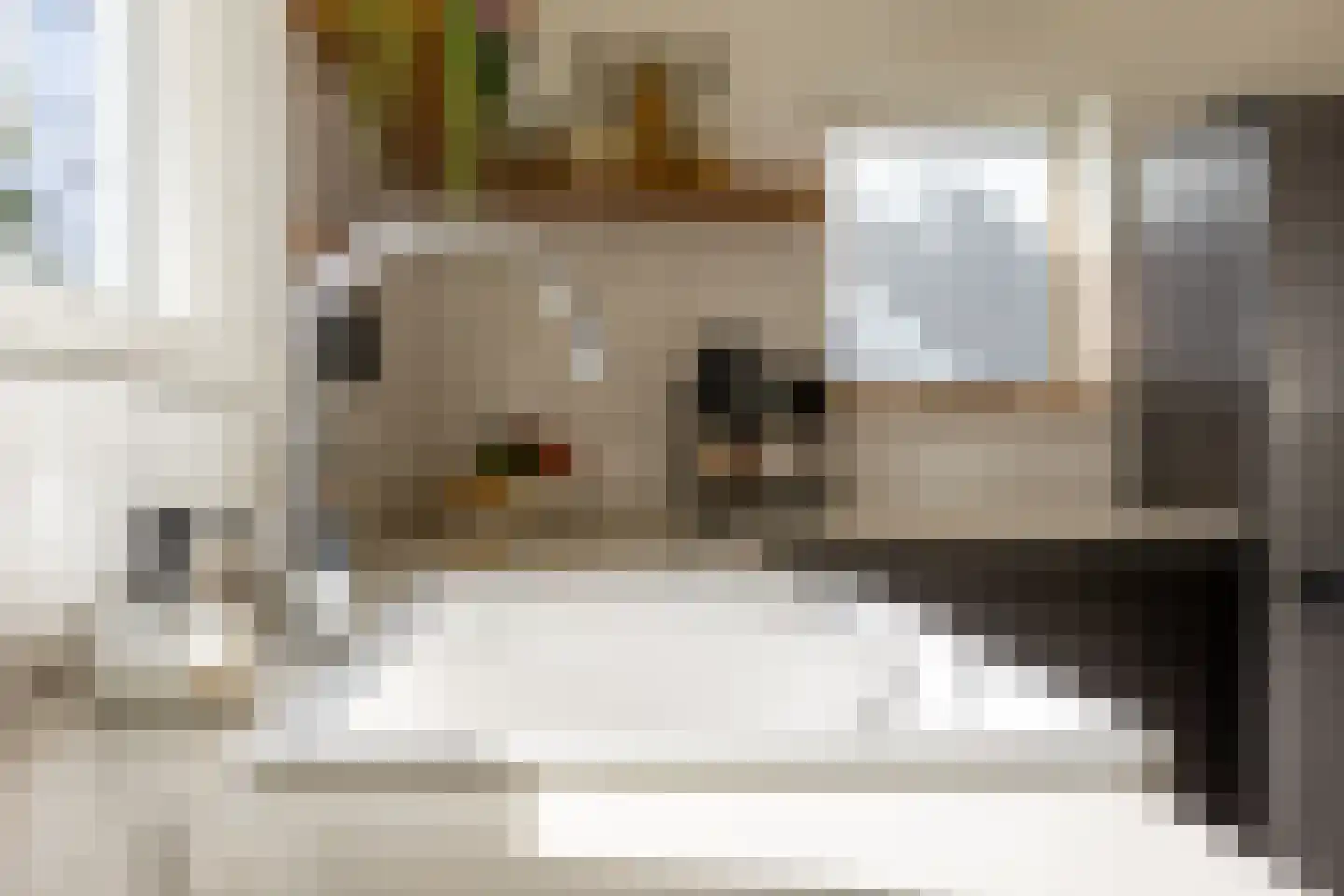 Zijde 132 Boskoop thumbnail 24