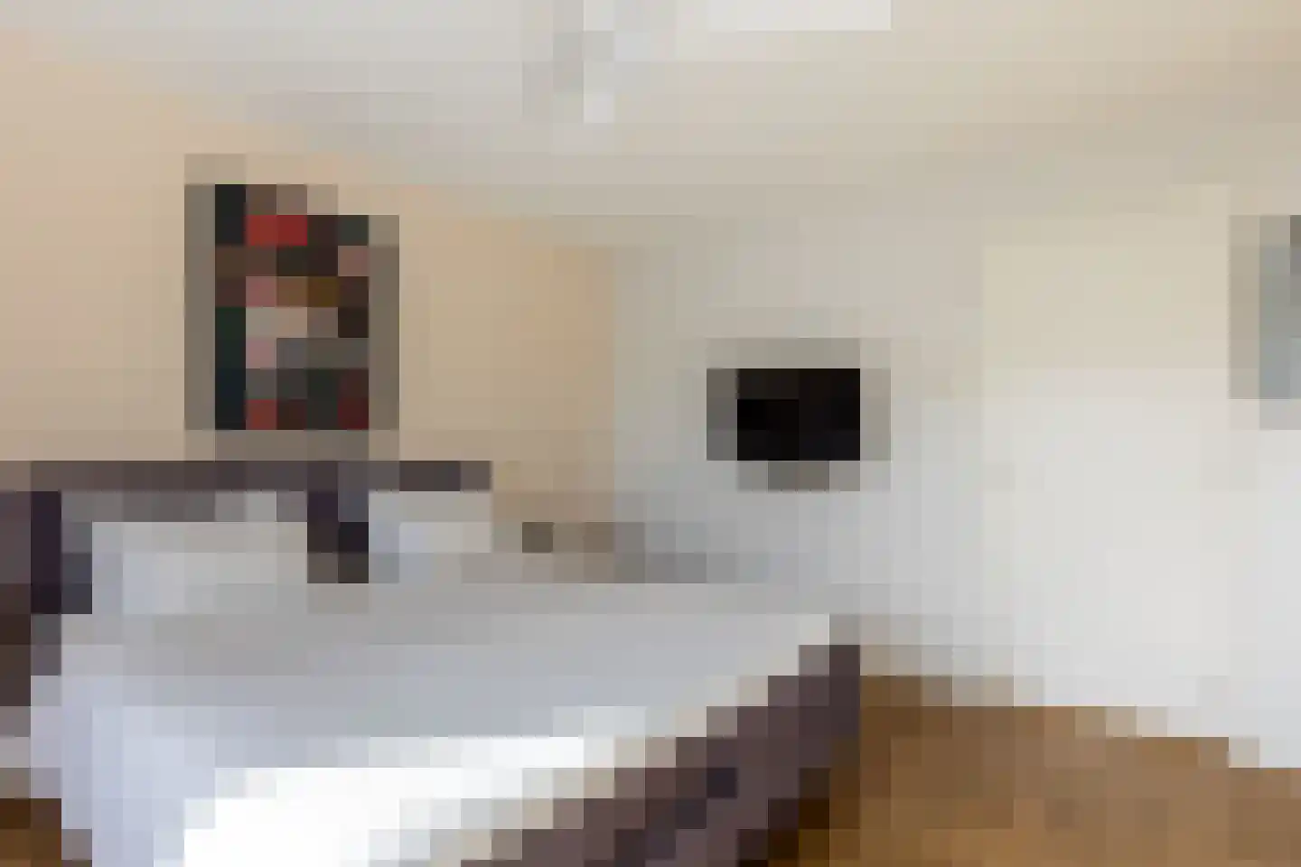 Zijde 132 Boskoop thumbnail 30