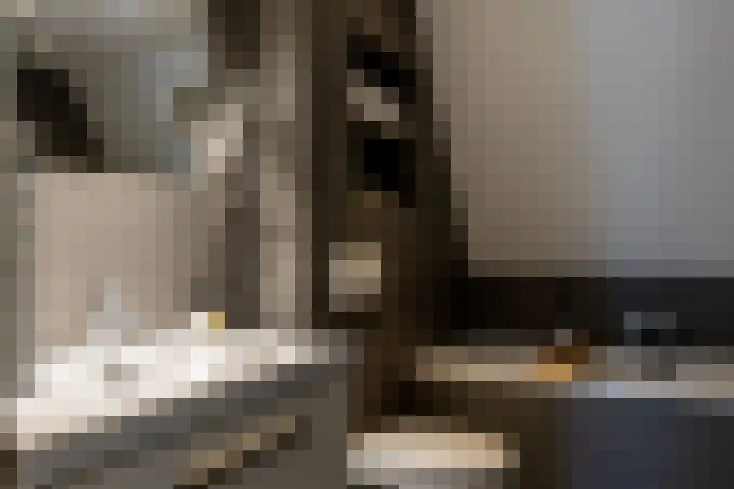 Zijde 132 Boskoop thumbnail 32