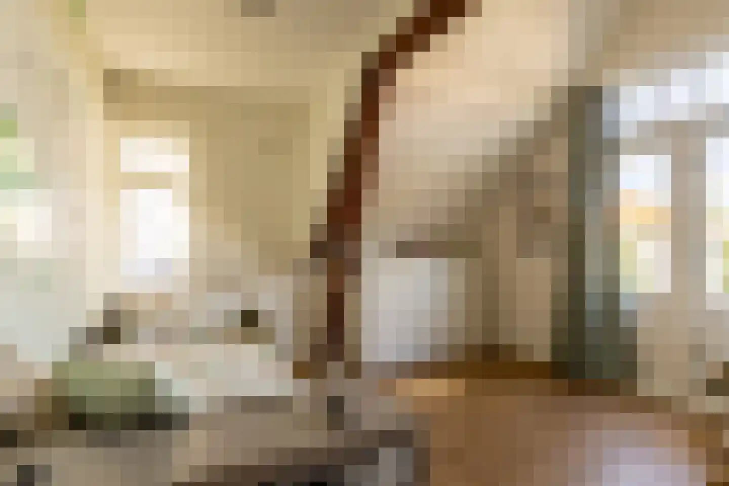 Zijde 132 Boskoop thumbnail 34