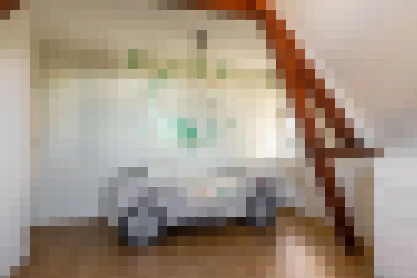 Zijde 132 Boskoop thumbnail 36