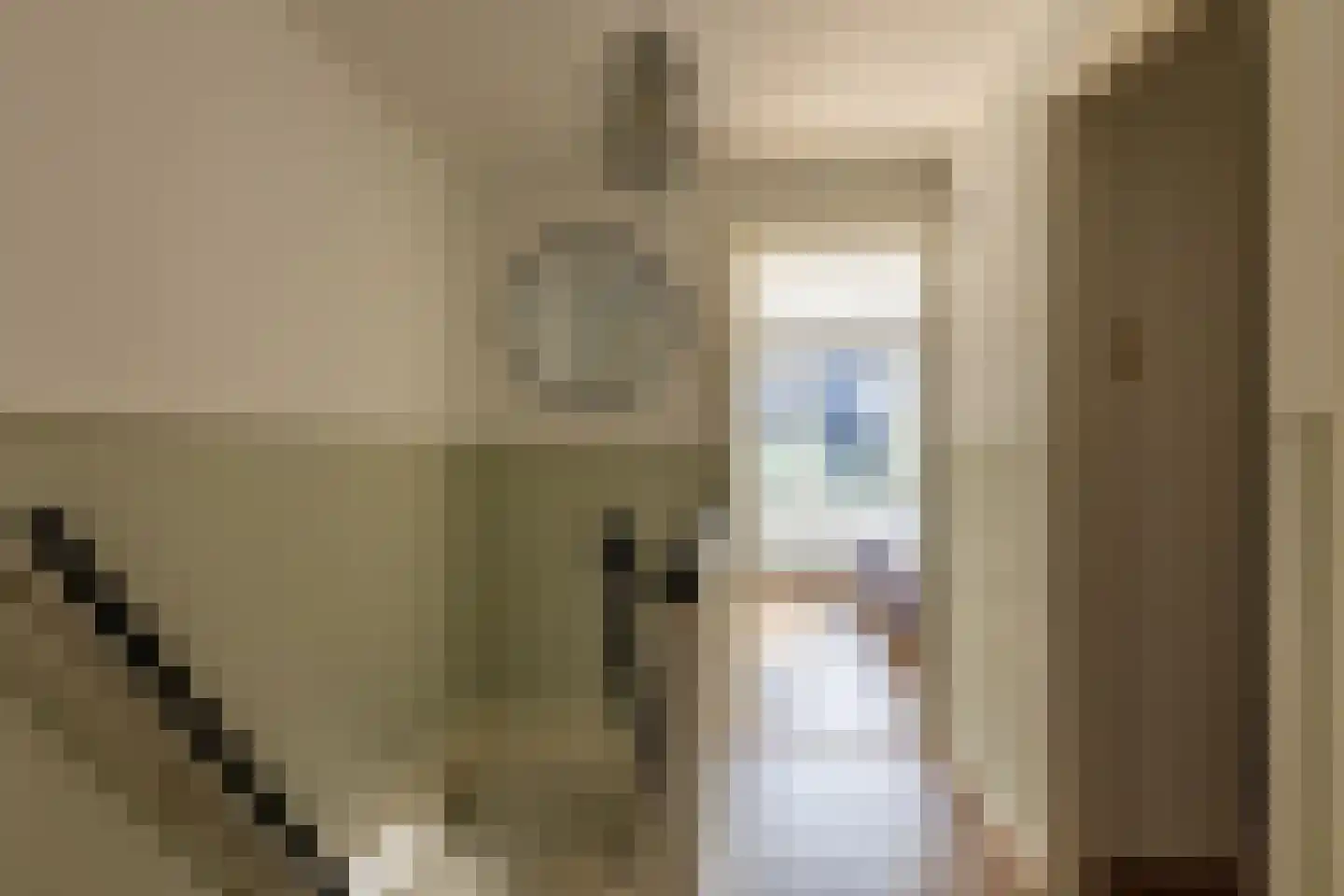 Zijde 132 Boskoop thumbnail 42