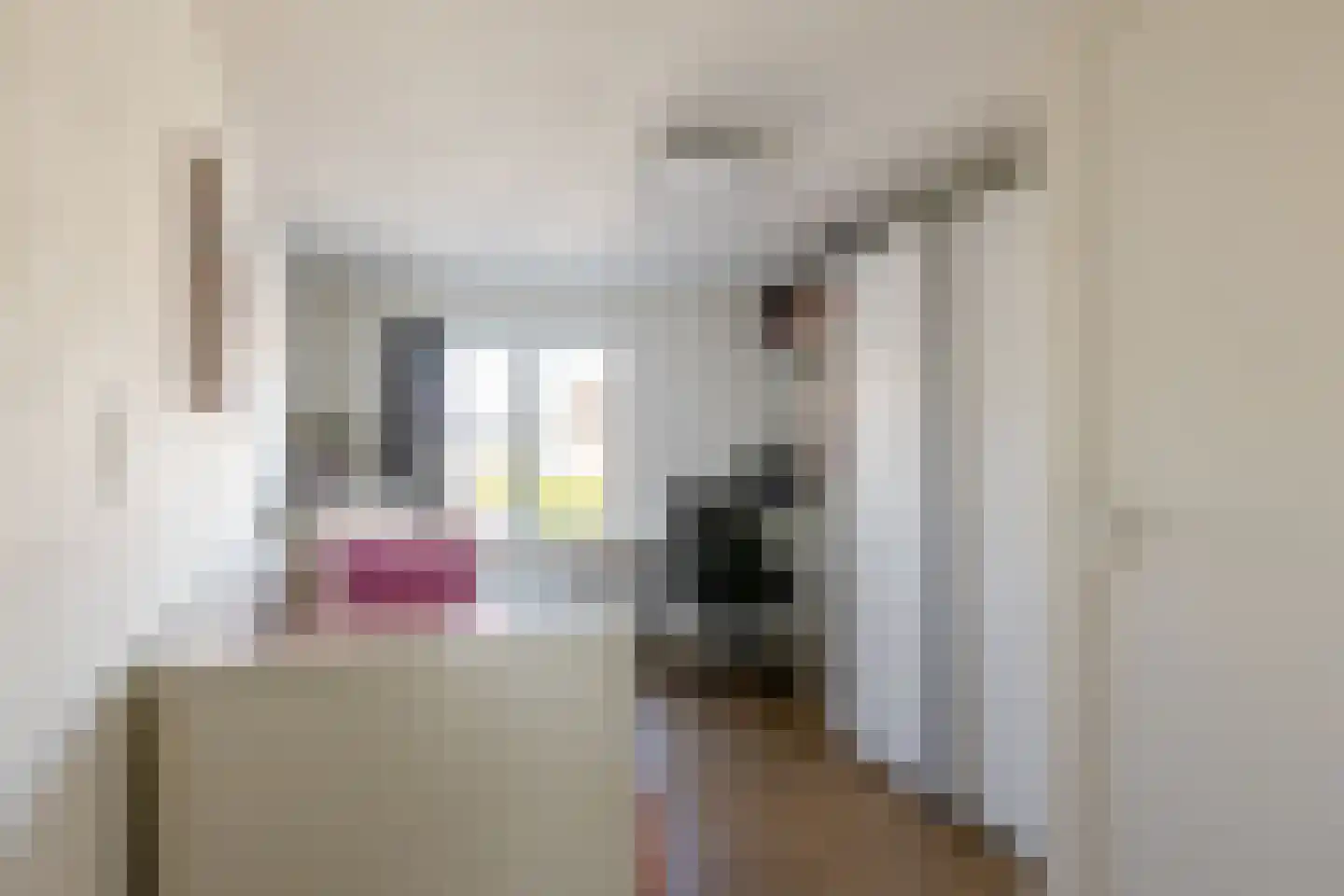 Zijde 132 Boskoop thumbnail 45