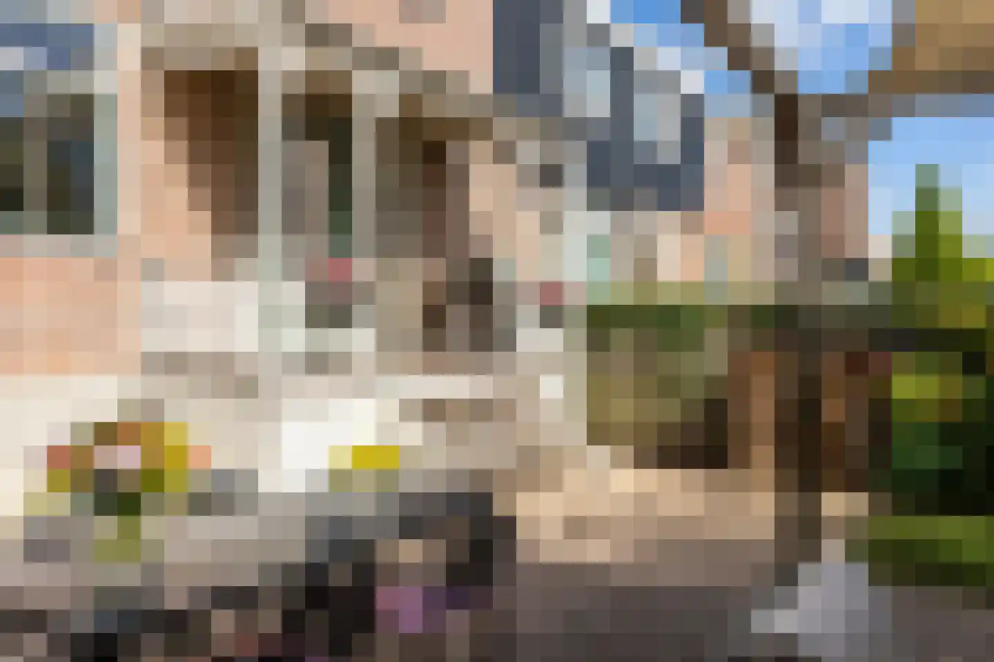 Zijde 132 Boskoop thumbnail 47