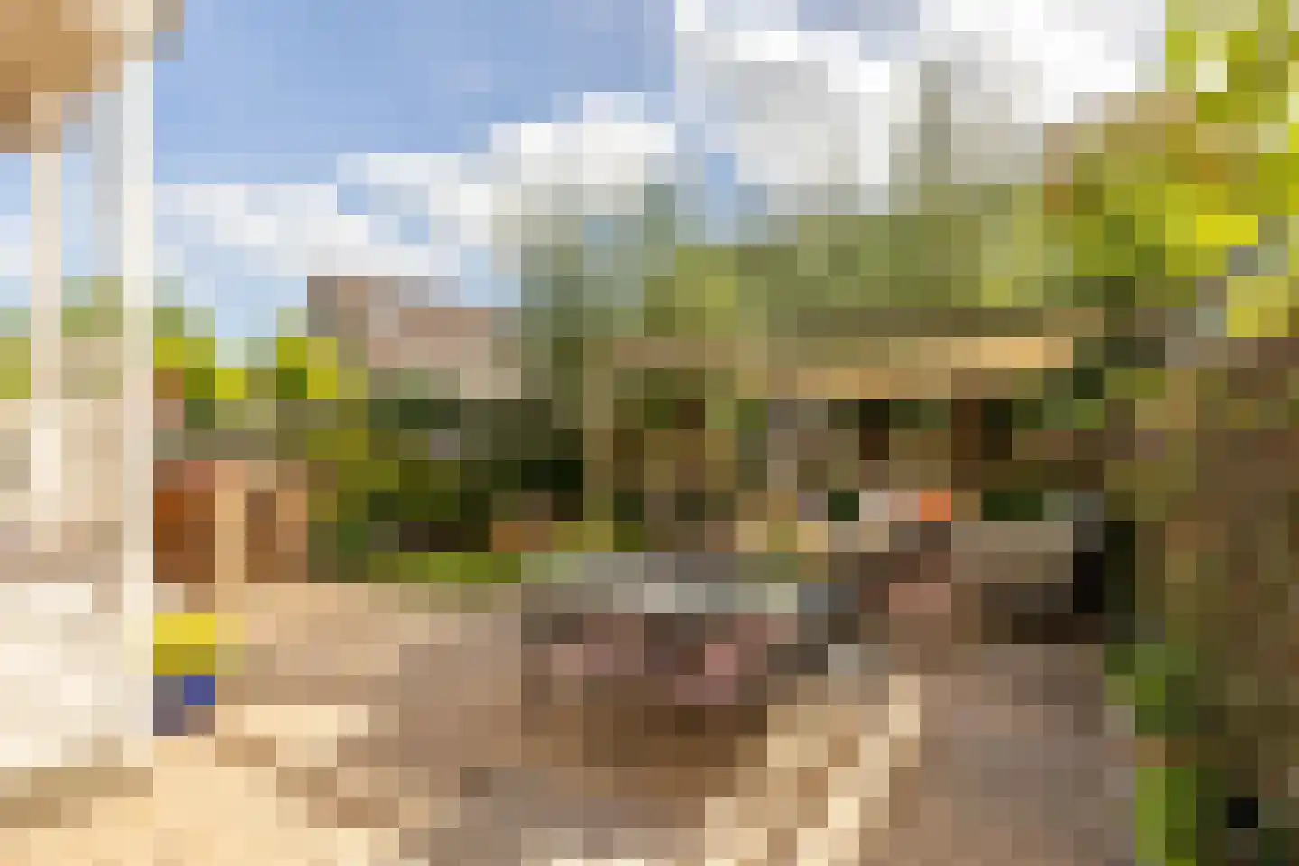 Zijde 132 Boskoop thumbnail 48