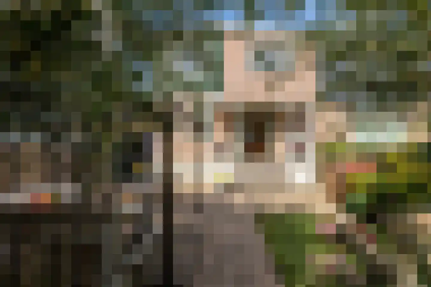 Zijde 132 Boskoop thumbnail 50