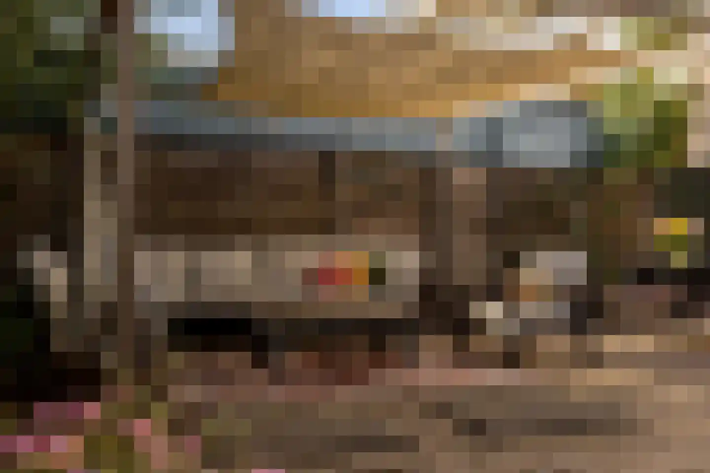 Zijde 132 Boskoop thumbnail 52