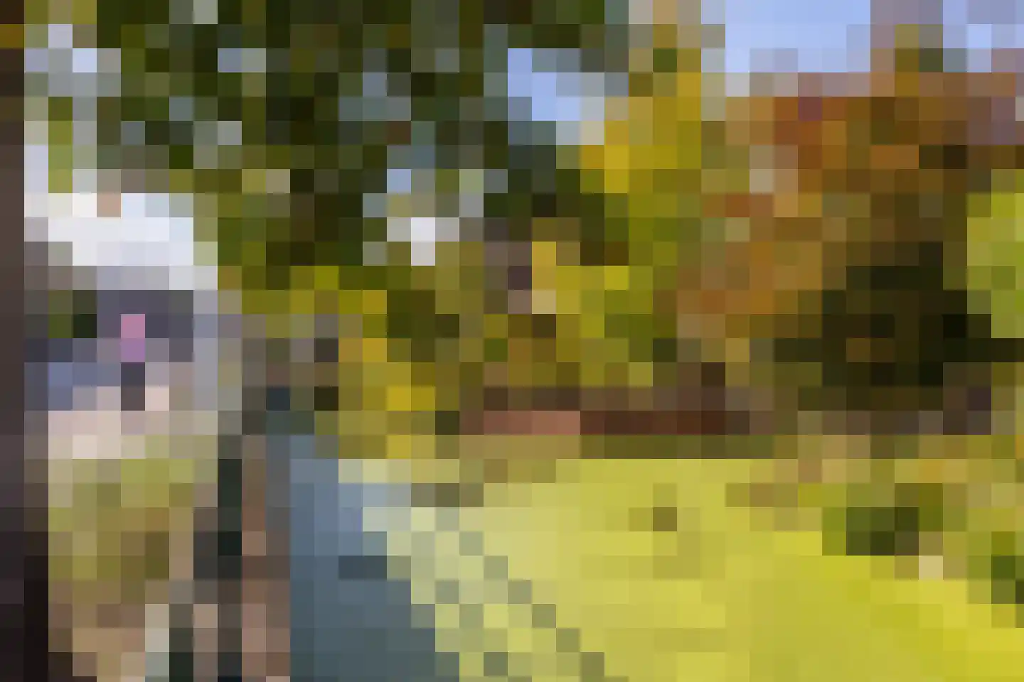 Zijde 132 Boskoop thumbnail 55