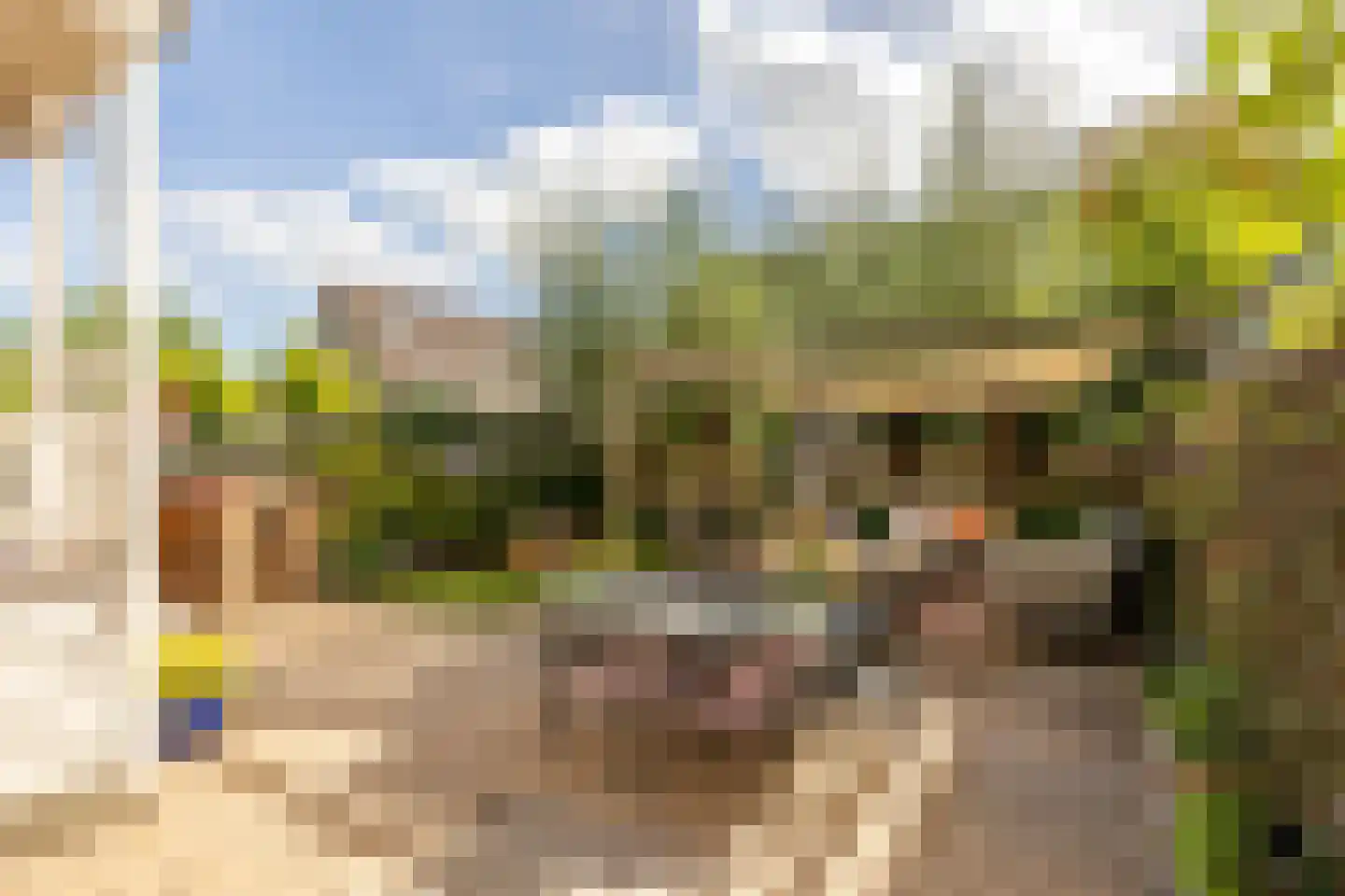 Zijde 132 Boskoop thumbnail 6