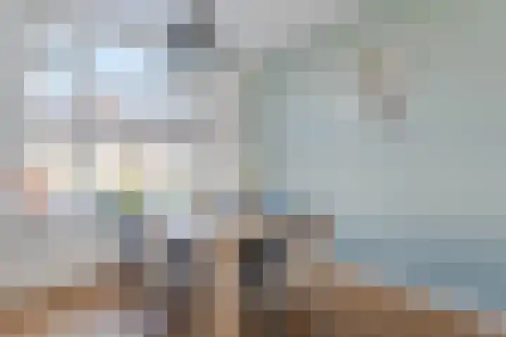 Zijde 138 Boskoop thumbnail 10