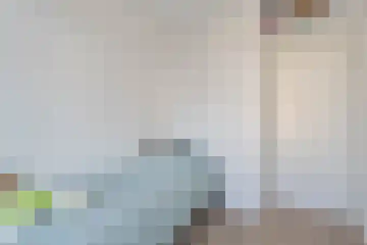 Zijde 138 Boskoop thumbnail 13