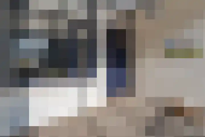 Zijde 138 Boskoop thumbnail 19