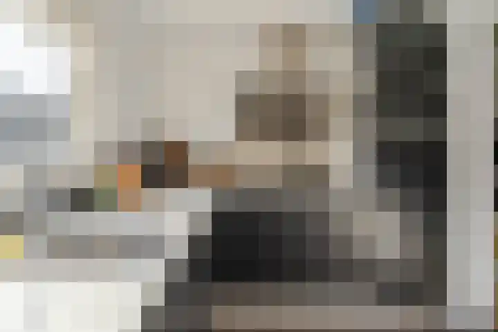 Zijde 138 Boskoop thumbnail 6