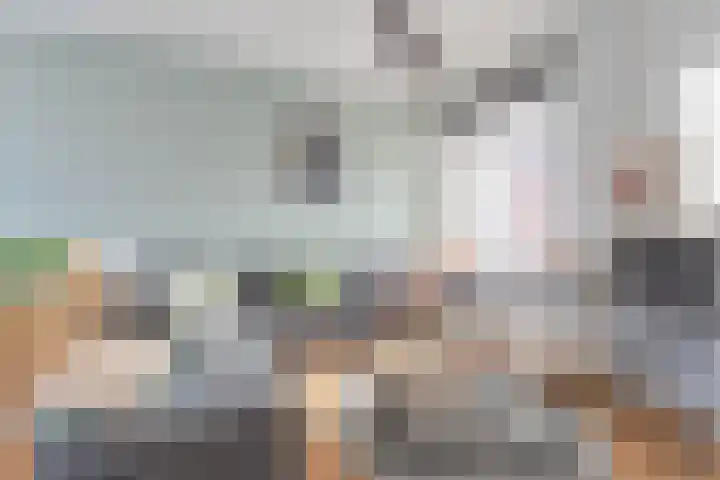 Zijde 138 Boskoop thumbnail 8