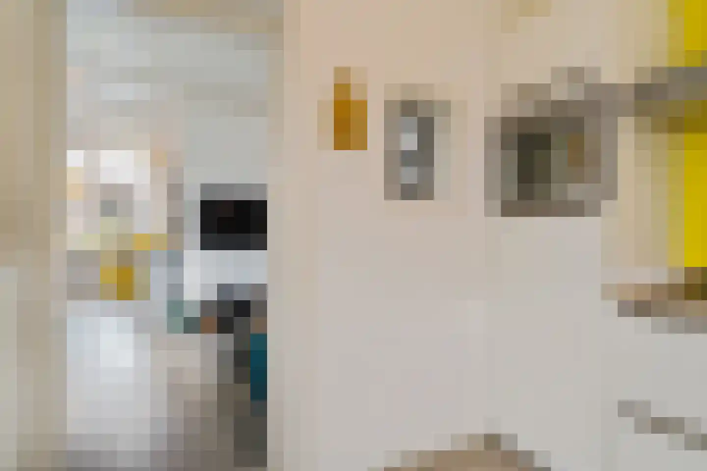 Zijde 144 Boskoop thumbnail 20