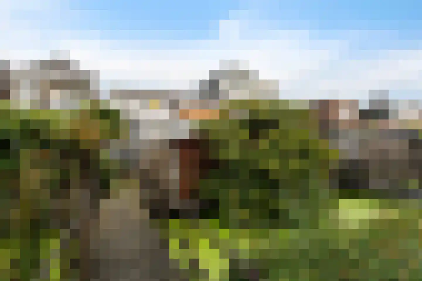 Zijde 144 Boskoop thumbnail 39