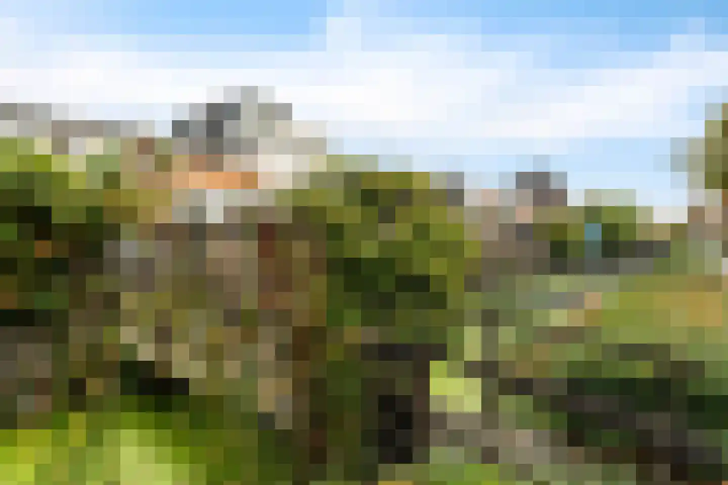 Zijde 144 Boskoop thumbnail 40
