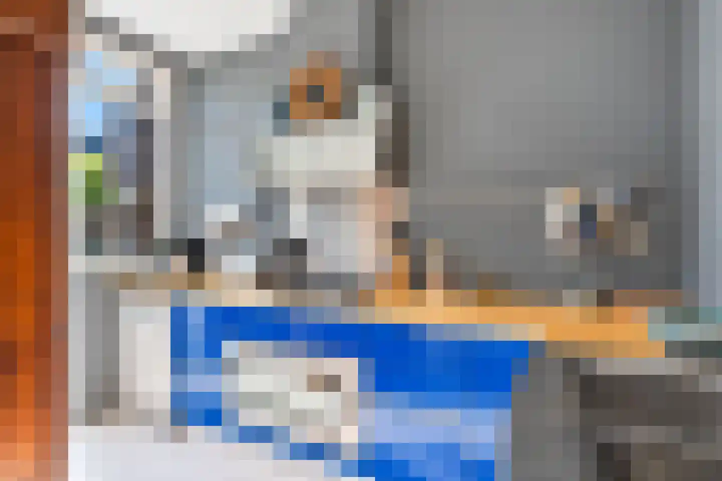 Zijde 146 Boskoop thumbnail 17