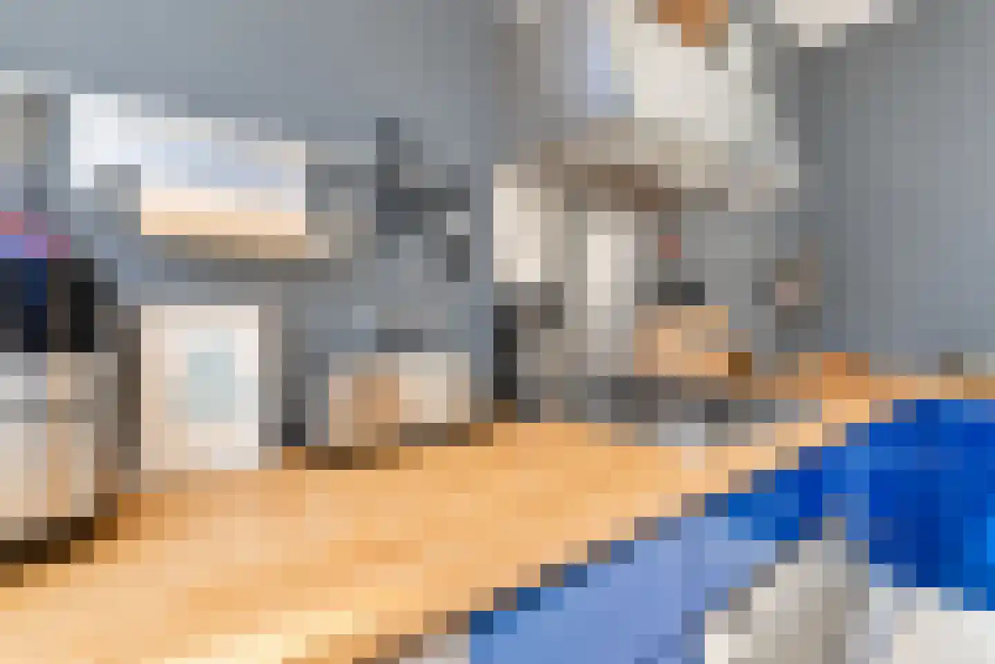 Zijde 146 Boskoop thumbnail 20