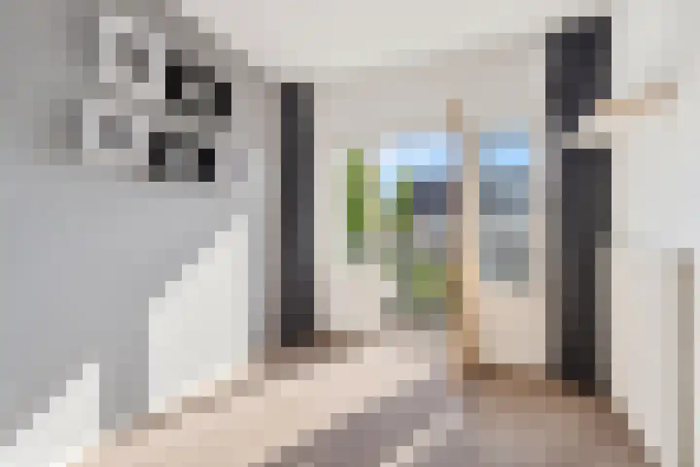Zijde 146 Boskoop thumbnail 29