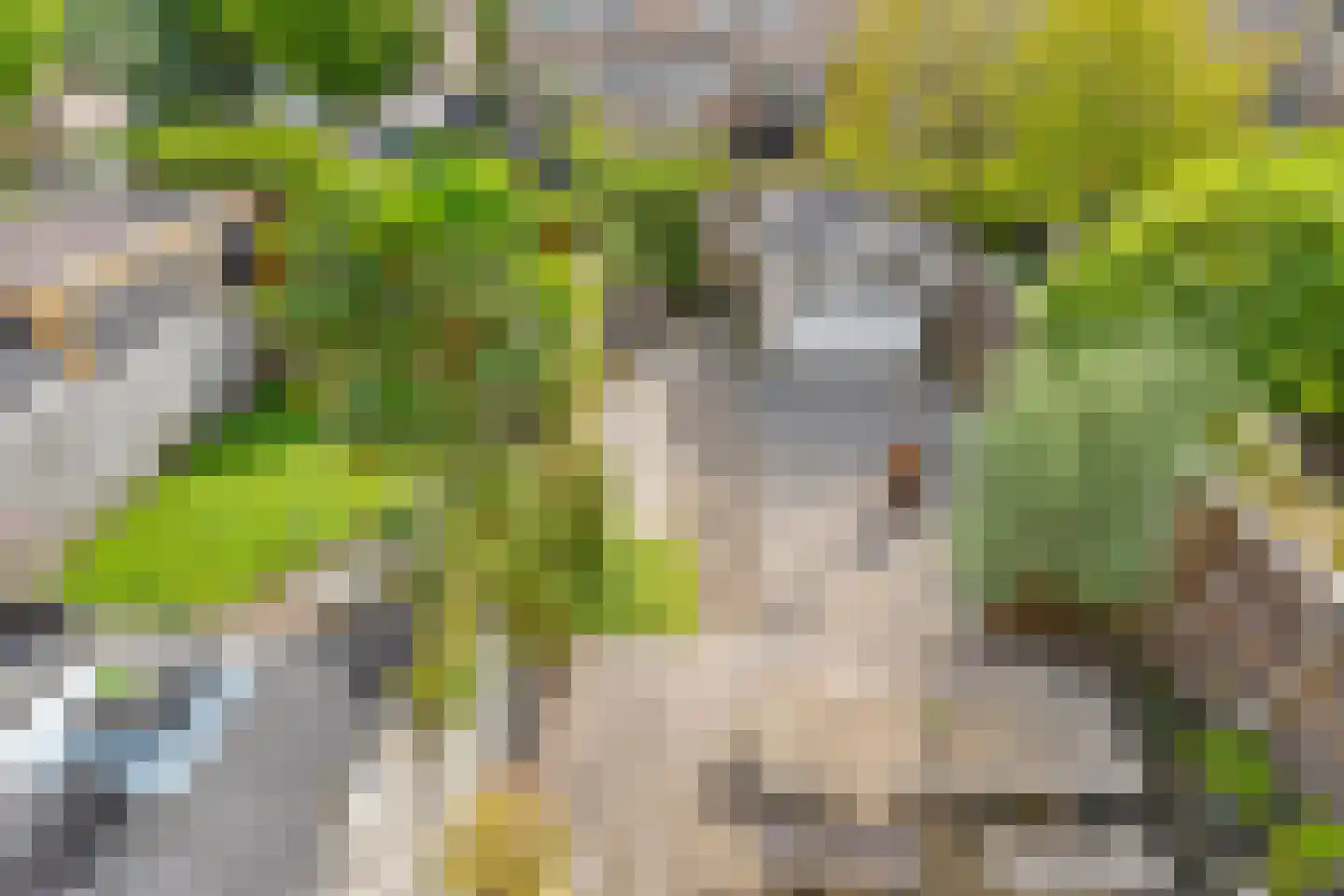 Zijde 146 Boskoop thumbnail 32