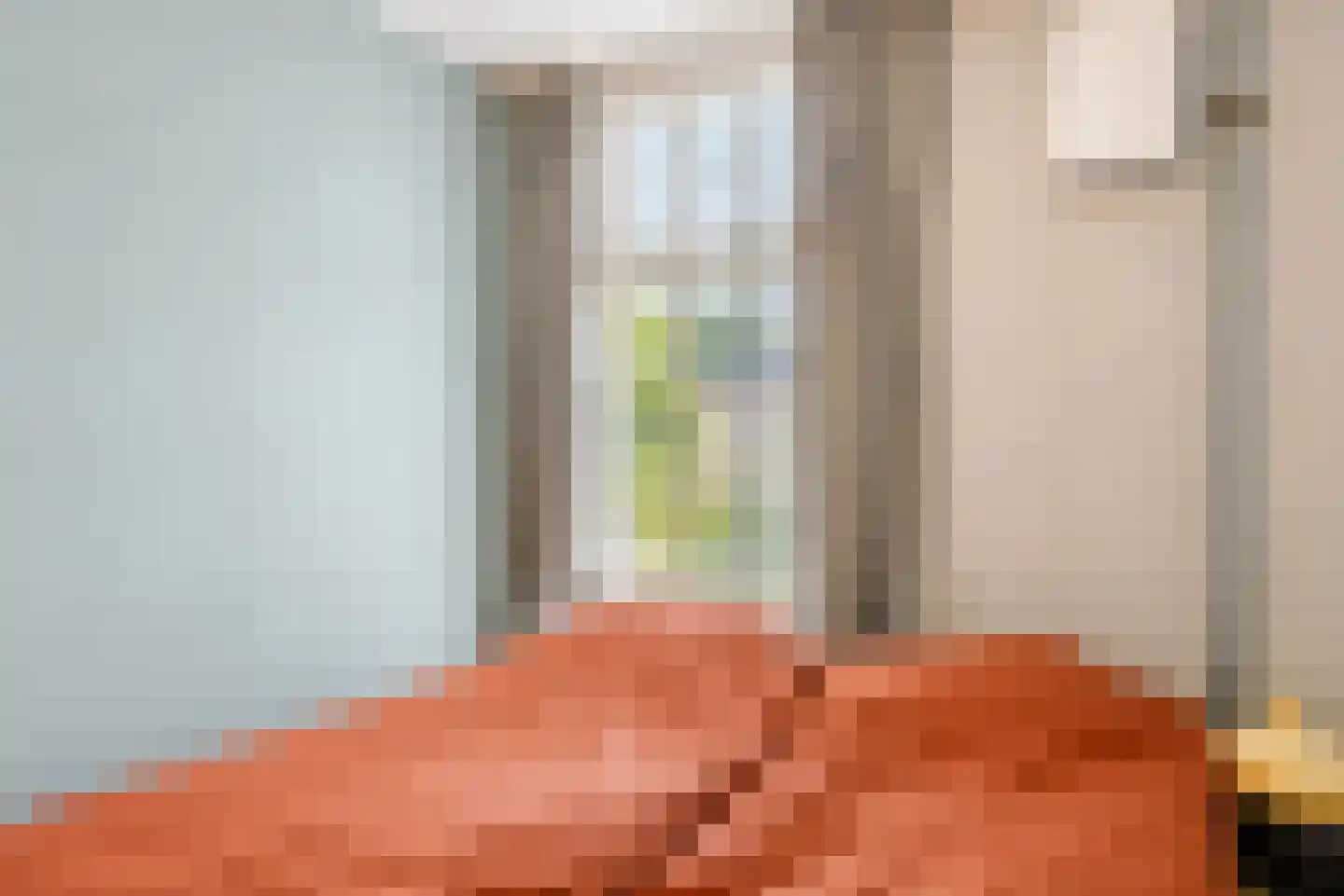 Zijde 146 Boskoop thumbnail 34