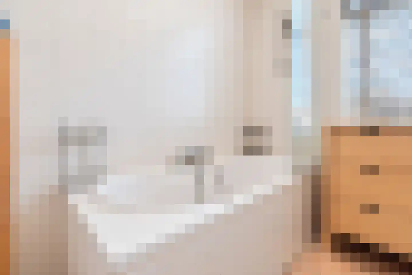 Zijde 146 Boskoop thumbnail 37