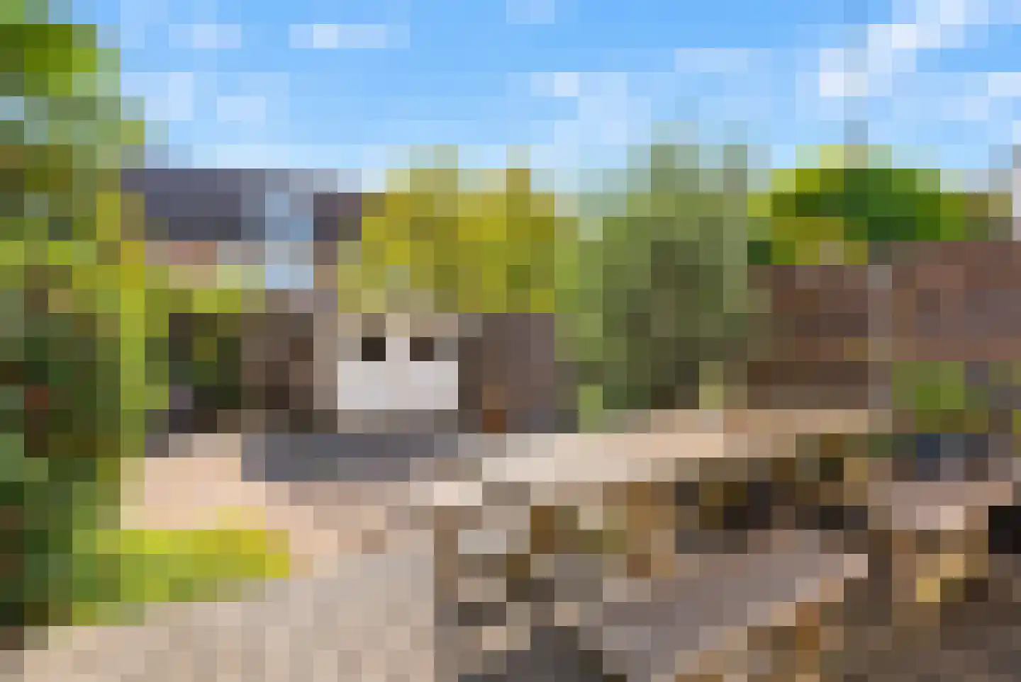 Zijde 146 Boskoop thumbnail 43