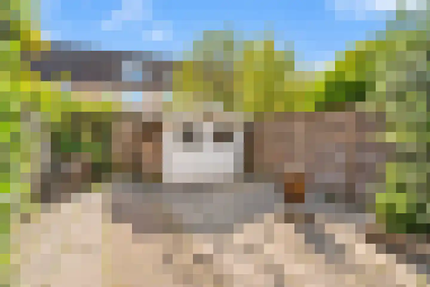 Zijde 146 Boskoop thumbnail 45