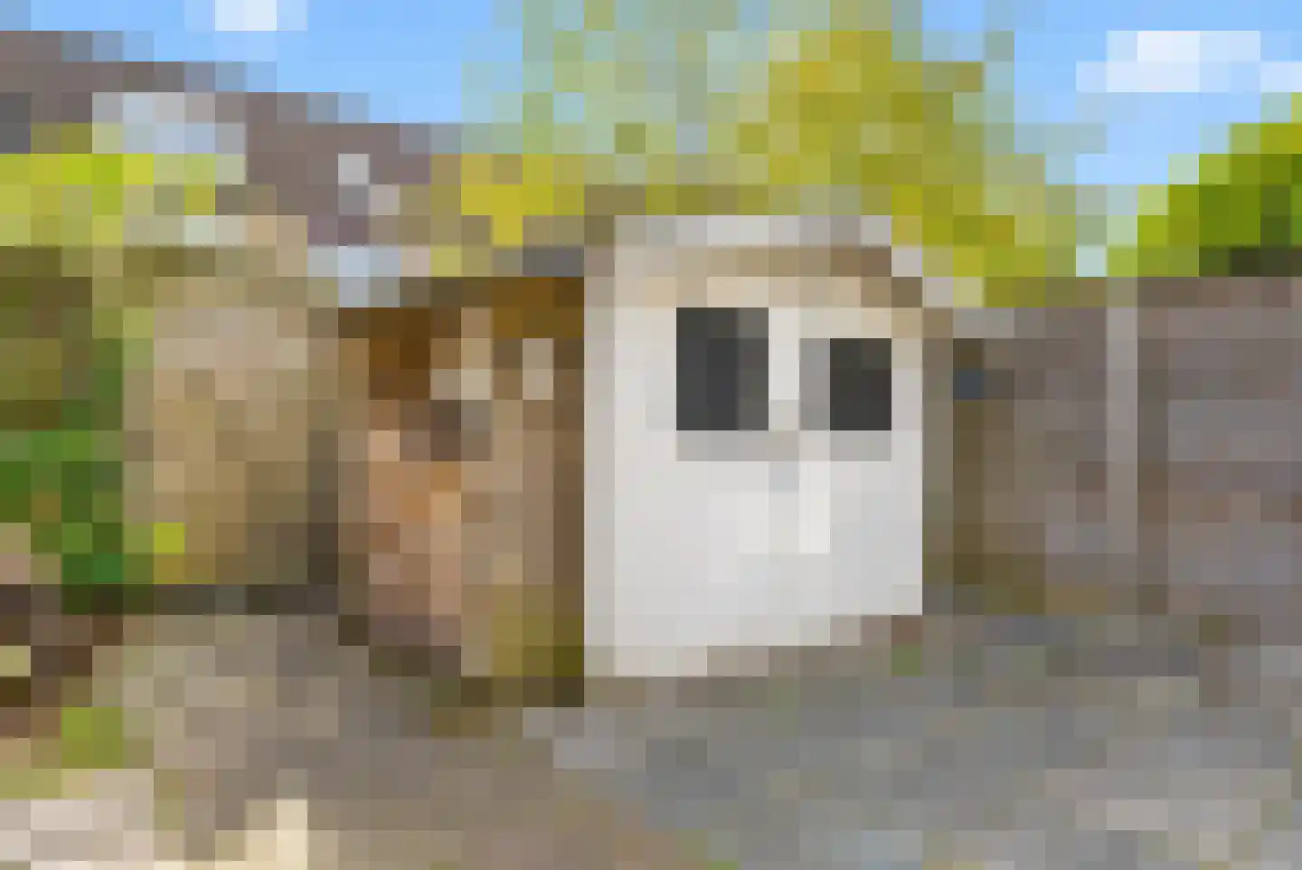 Zijde 146 Boskoop thumbnail 46