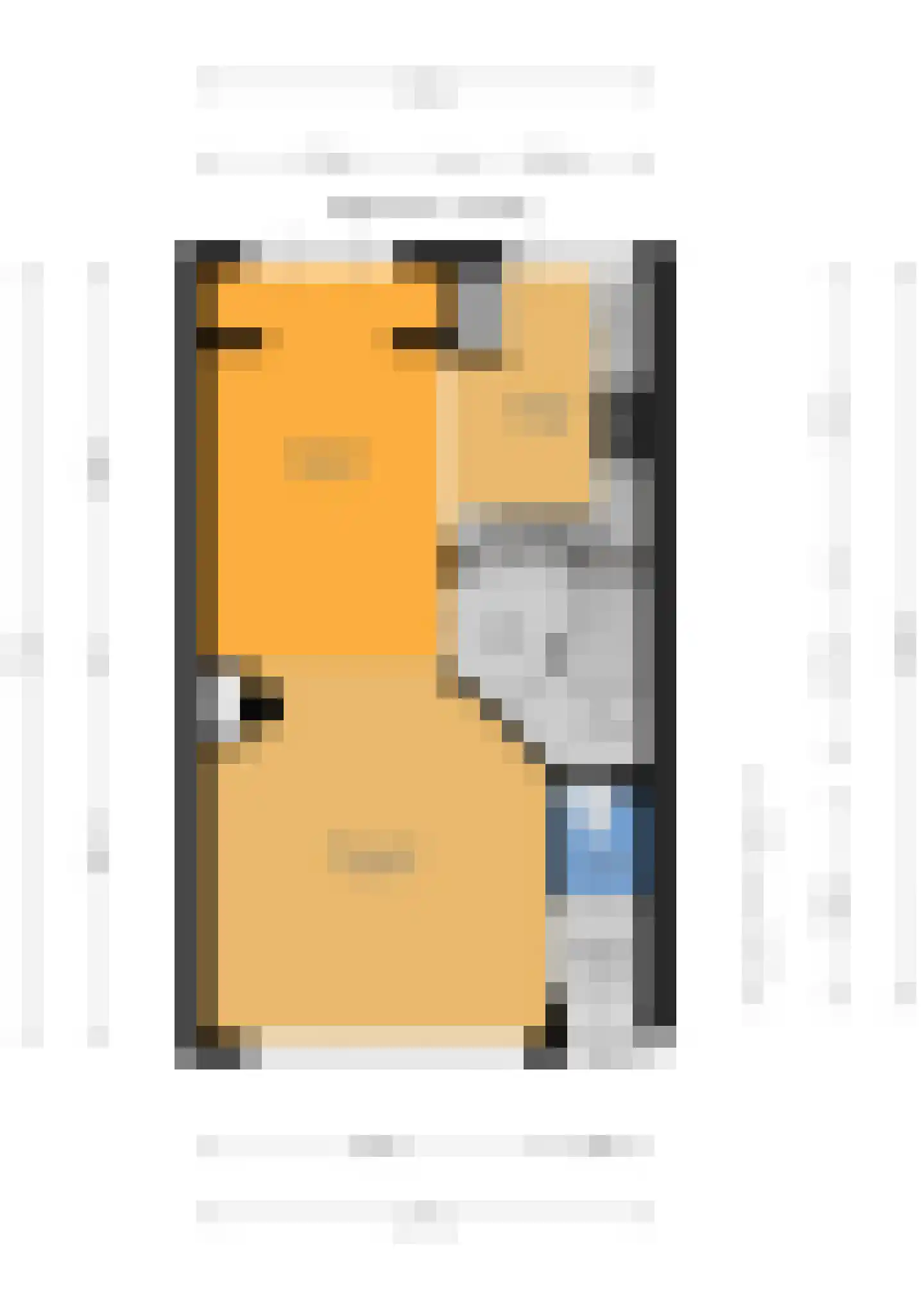 Zijde 146 Boskoop thumbnail 53