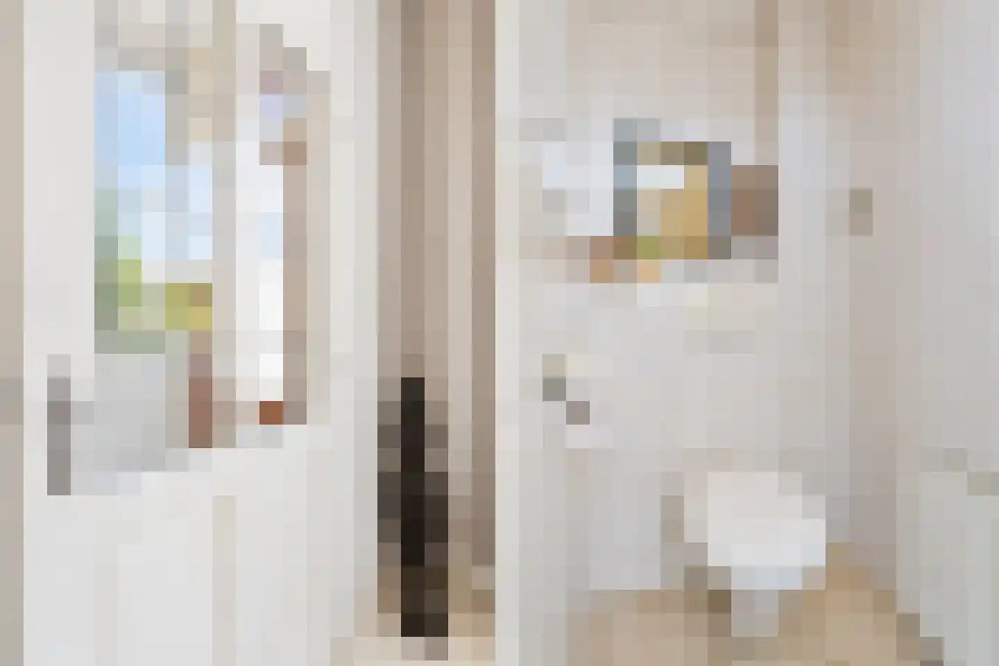 Zijde 146 Boskoop thumbnail 7