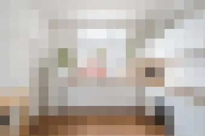 Zijde 296 Boskoop thumbnail 10