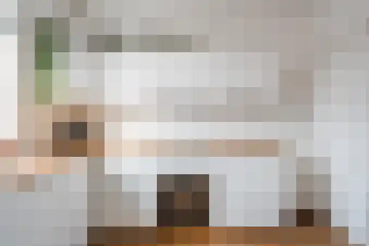 Zijde 296 Boskoop thumbnail 11