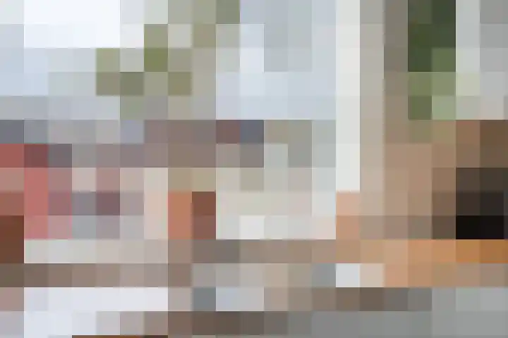 Zijde 296 Boskoop thumbnail 12