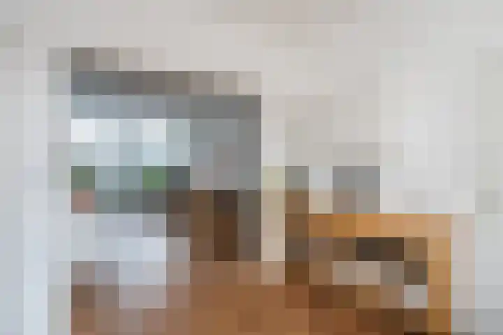 Zijde 296 Boskoop thumbnail 13