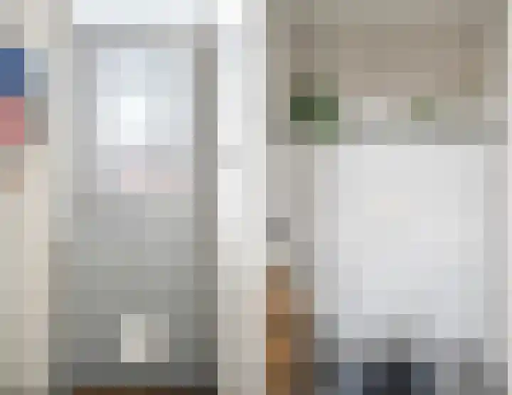 Zijde 296 Boskoop thumbnail 14