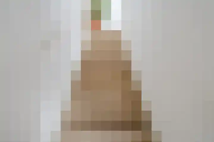 Zijde 296 Boskoop thumbnail 15
